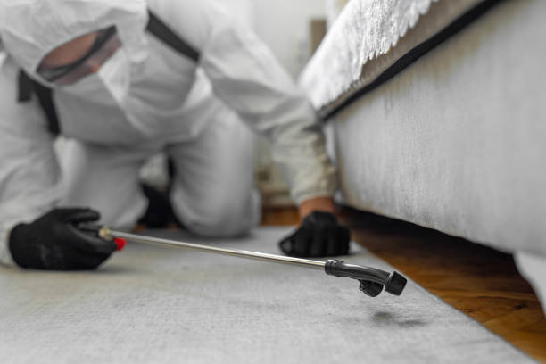 Professional Termite Control technician working in Rogers City, MI