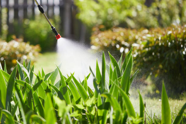 24/7 Emergency Termite Control experts in Rogers City, MI
