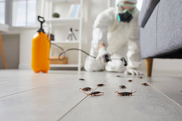 Trusted Termite Control service in Rogers City, MI - Nex Pest Control